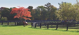 Luxury listing of the day: Equestrian paradise in Dutchess County, N.Y.