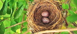 Houston named best city for building a nest egg