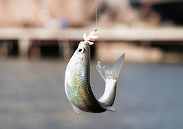 Phishing scams: Don't let your clients get caught on the hook