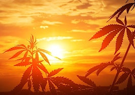 Cannabis real estate boom: How long will the high returns last?
