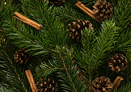 Watering your Christmas tree can prevent a destructive home fire