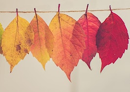 5 ways to take advantage of fall and make your yearly goals