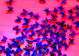 Trouble getting past small talk? 7 steps for becoming a social butterfly