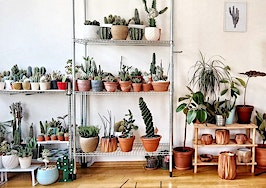 The latest reason millennials aren't buying homes? Houseplants
