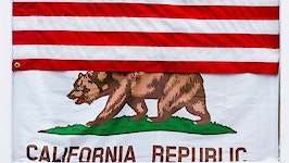 Meet the 2 agents on California's gubernatorial recall election ballot